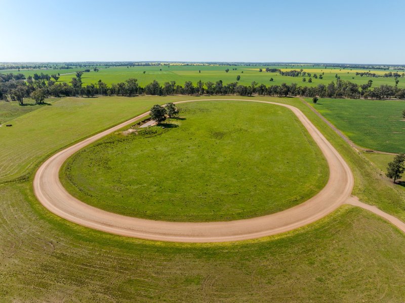 Photo - 'Bonnie Doone' 9028 Newell Highway, Mirrool NSW 2665 - Image 24