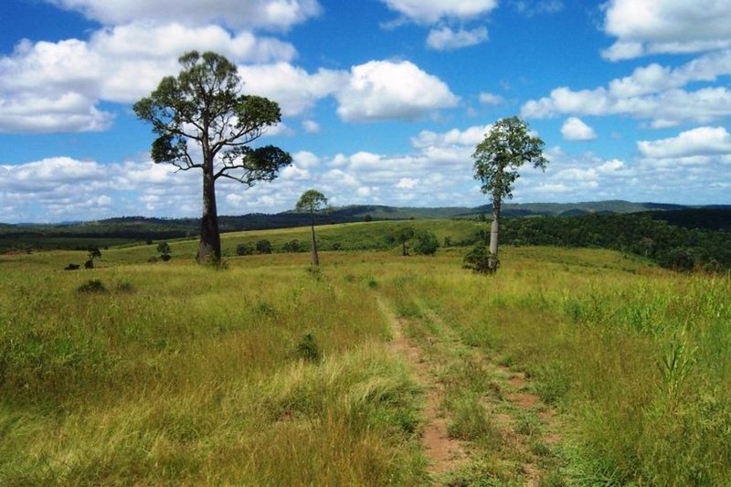 Photo - Booubyjan QLD 4601 - Image 8