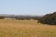 Photo - . Boramin & Mulukine Road, Grass Valley WA 6403 - Image 1