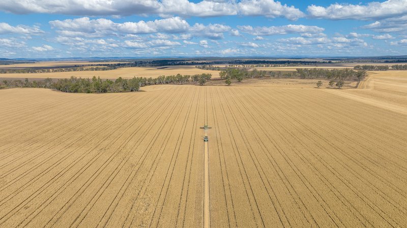 Photo - "Boundary Farms" 468 O'Leary Road, Ellangowan QLD 4361 - Image 4