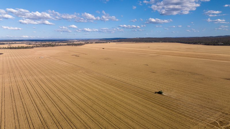 Photo - "Boundary Farms" 468 O'Leary Road, Ellangowan QLD 4361 - Image 5