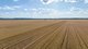 Photo - "Boundary Farms" 468 O'Leary Road, Ellangowan QLD 4361 - Image 6