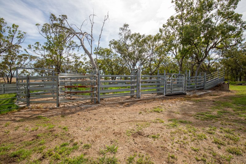 Photo - "Boundary Farms" 468 O'Leary Road, Ellangowan QLD 4361 - Image 19