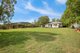 Photo - "Boundary Farms" 468 O'Leary Road, Ellangowan QLD 4361 - Image 23