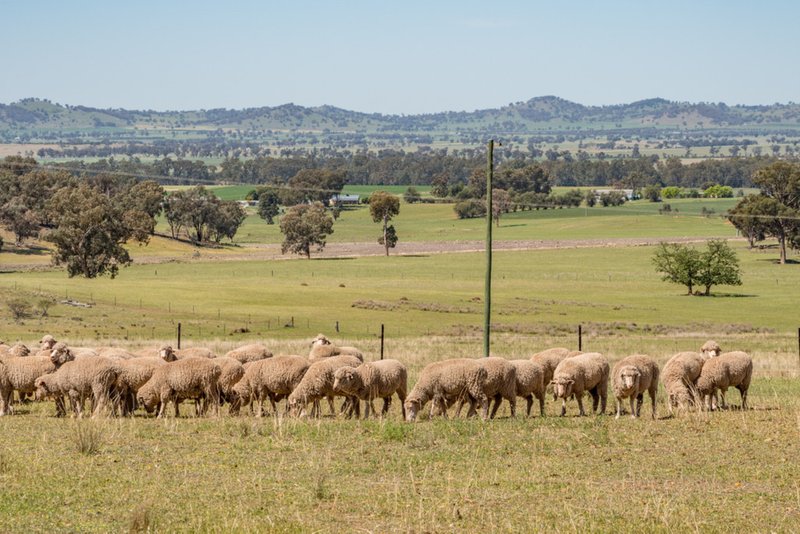 'Braeside' Conimbla Road, Cowra NSW 2794