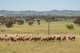 Photo - 'Braeside' Conimbla Road, Cowra NSW 2794 - Image 1