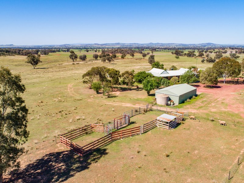 Photo - 'Braeside' Conimbla Road, Cowra NSW 2794 - Image 19