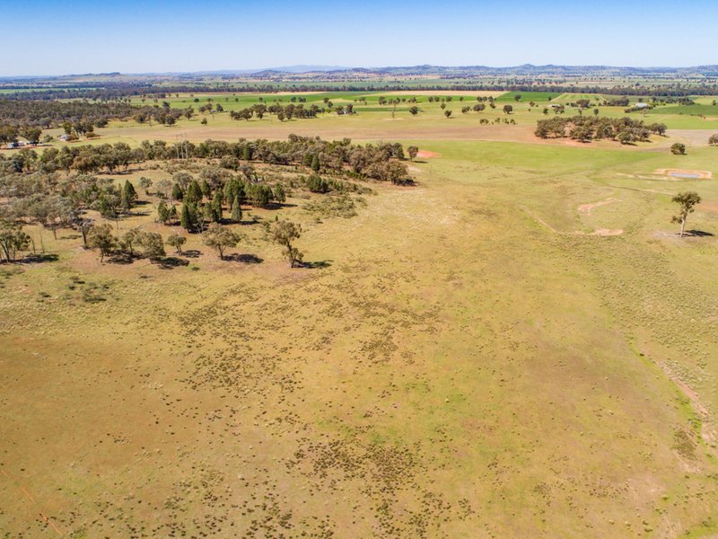 Photo - 'Braeside' Conimbla Road, Cowra NSW 2794 - Image 22