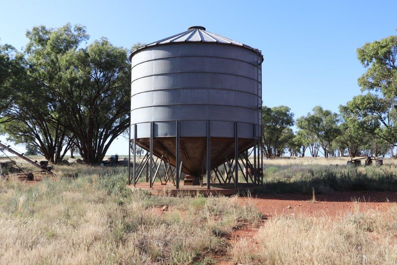 Photo - 'Brigadoon' 916 Talleeban Road, Weethalle NSW 2669 - Image 17