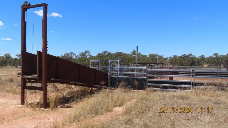 Photo - * Broadmeadows, 8273 Barrier Highway, Cobar NSW 2835 - Image 15