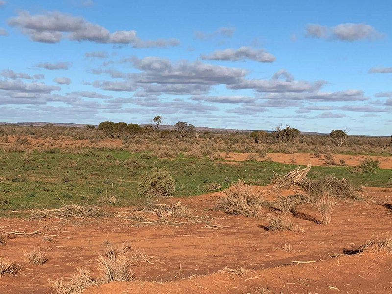 Photo - Broken Hill NSW 2880 - Image 7