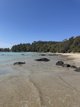 Photo - Broulee NSW 2537 - Image 12