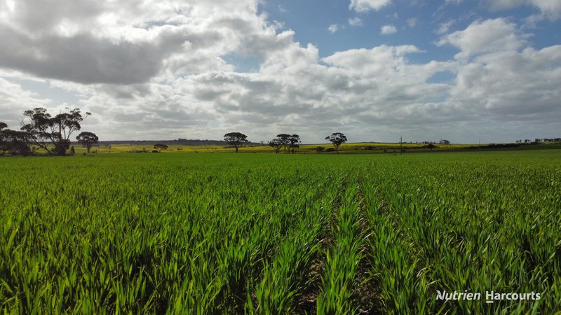 Photo - "Browns" Chandler-Merredin Road, Burracoppin WA 6421 - Image 3