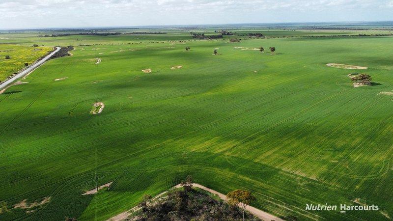 Photo - "Browns" Chandler-Merredin Road, Burracoppin WA 6421 - Image 10