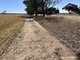 Photo - . Bruce Rock-Quairading Road, Quairading WA 6383 - Image 5