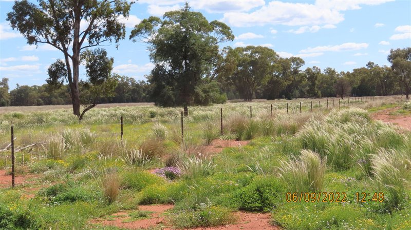 Photo - * Budgery Station , Hermidale NSW 2831 - Image 4