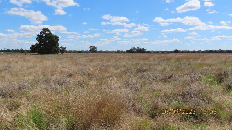 Photo - * Budgery Station , Hermidale NSW 2831 - Image 5