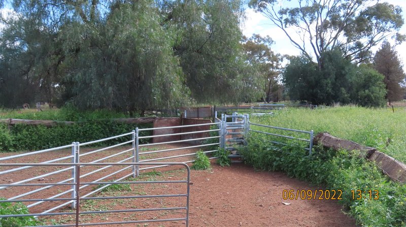 Photo - * Budgery Station , Hermidale NSW 2831 - Image 7