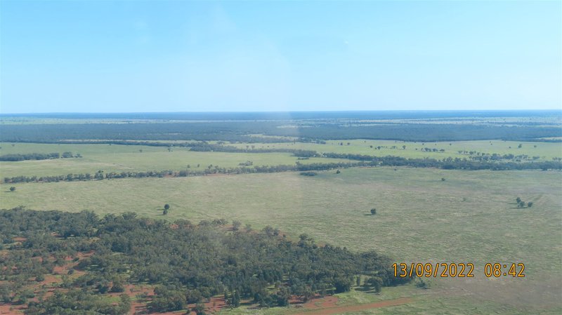 Photo - * Budgery Station , Hermidale NSW 2831 - Image 16