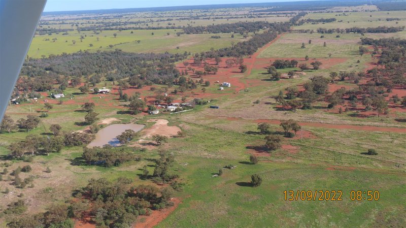 Photo - * Budgery Station , Hermidale NSW 2831 - Image 18