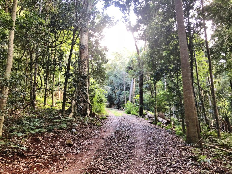 Photo - 'Buelah' Bunya Mountains Road, Bunya Mountains QLD 4405 - Image 13