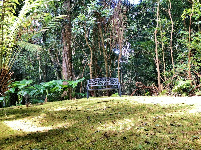 Photo - 'Buelah' Bunya Mountains Road, Bunya Mountains QLD 4405 - Image 15