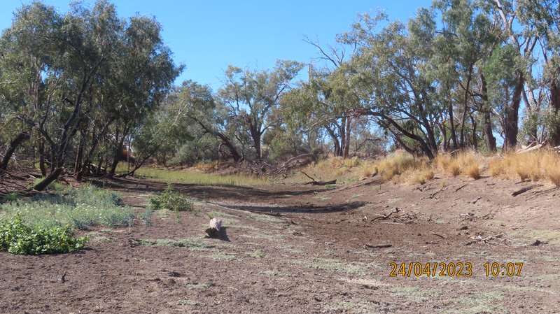 Photo - Bundabulla, 5295 Goodooga Road, Talawanta NSW 2839 - Image 9