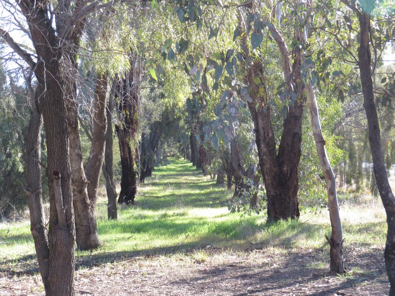 Photo - 'Bungama' Mid Western Highway, Grenfell NSW 2810 - Image 19