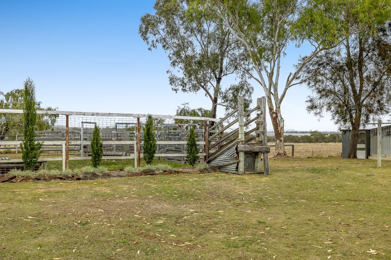 Photo - "Bungaree" 2667 Toowoomba-Cecil Plains Road, Linthorpe QLD 4356 - Image 16