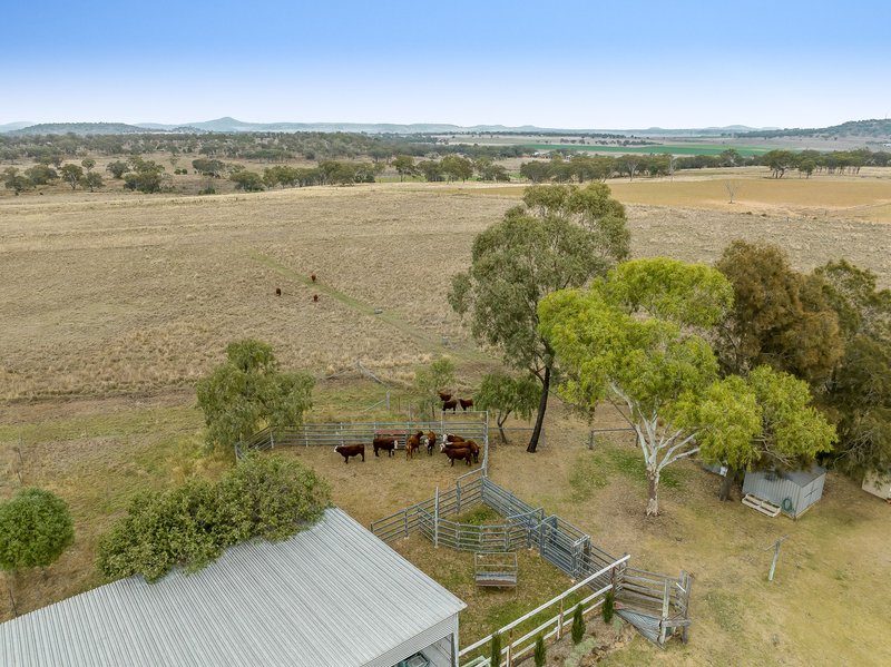 Photo - "Bungaree" 2667 Toowoomba-Cecil Plains Road, Linthorpe QLD 4356 - Image 17