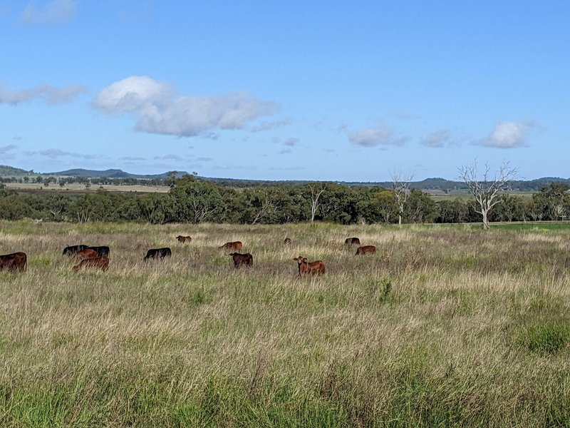 Photo - "Bungaree" 2667 Toowoomba-Cecil Plains Road, Linthorpe QLD 4356 - Image 23