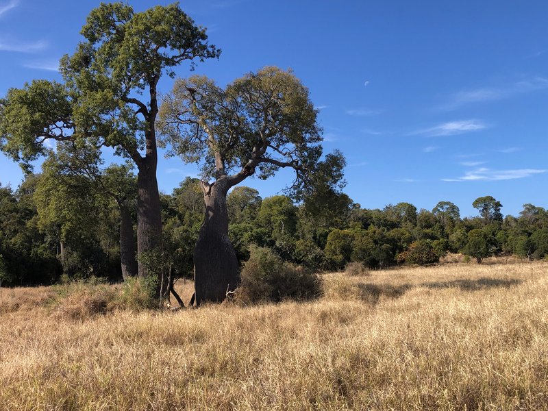 Bunya Mountains QLD 4405