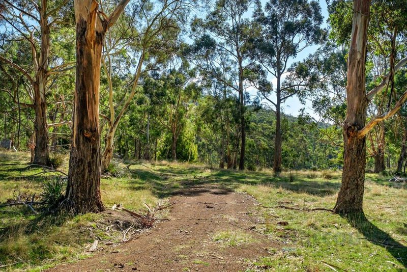 Photo - Butterfly Ridge Estate , Margate TAS 7054 - Image 6