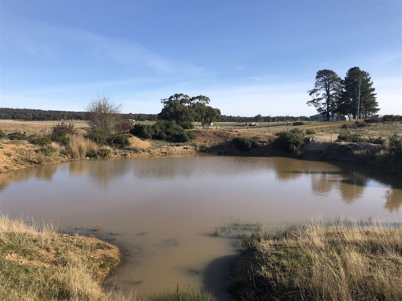 Photo - CA 2 Halls Lane, Snake Valley VIC 3351 - Image 5