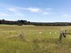 Photo - CA 28 Snake Valley-Mortchup Road, Snake Valley VIC 3351 - Image 7