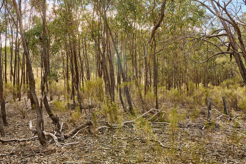 Photo - CA 37H Kuhlemans Track, Heathcote VIC 3523 - Image 4