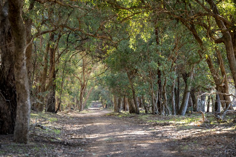 Photo - CA34 and CA42 Rothesay Road, Tatong VIC 3673 - Image 13