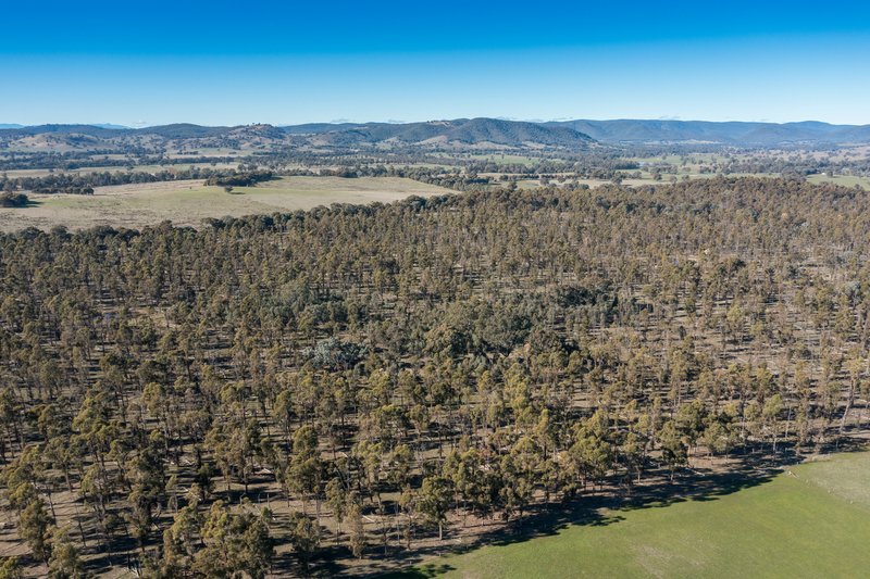 Photo - CA34 and CA42 Rothesay Road, Tatong VIC 3673 - Image 20