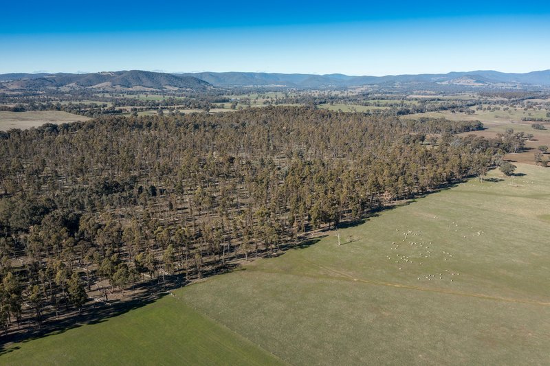 Photo - CA34 and CA42 Rothesay Road, Tatong VIC 3673 - Image 21