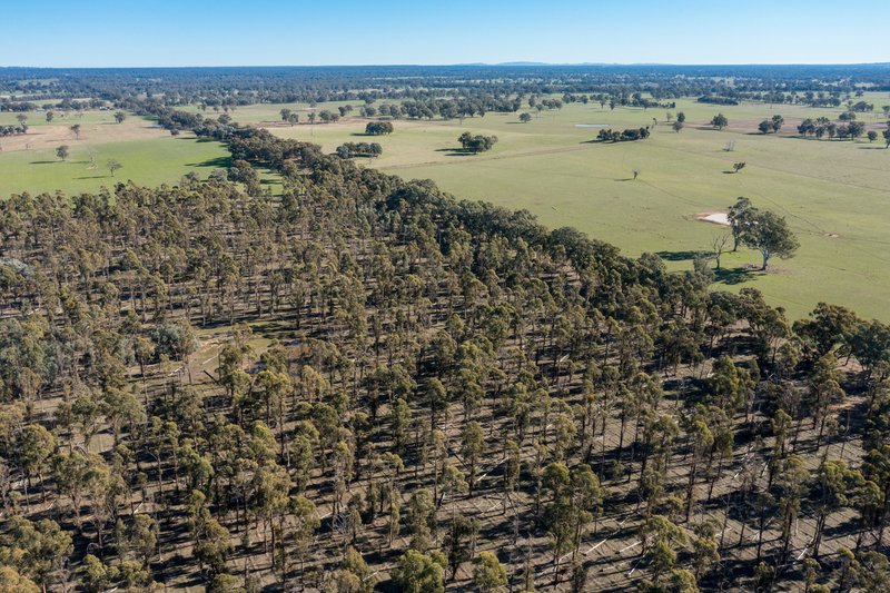 Photo - CA34 and CA42 Rothesay Road, Tatong VIC 3673 - Image 24