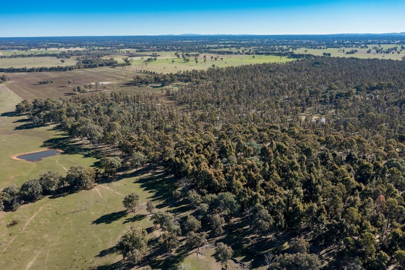 Photo - CA34 and CA42 Rothesay Road, Tatong VIC 3673 - Image 27