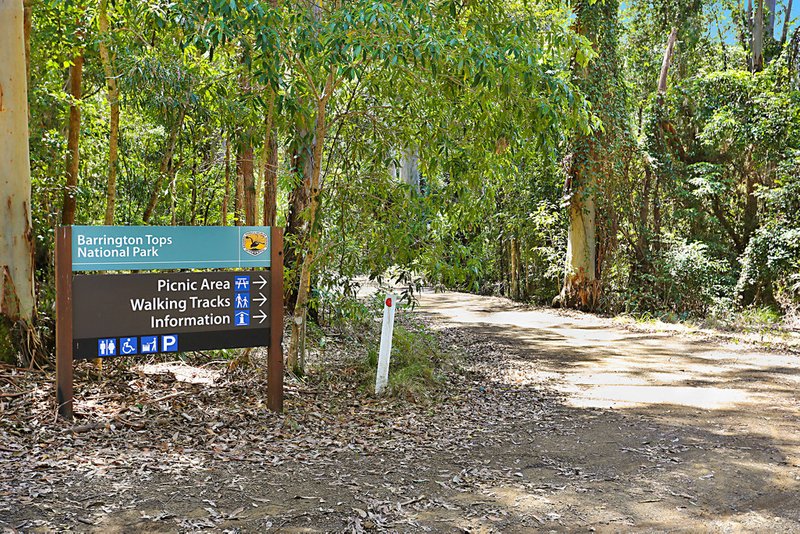 Photo - Cabin 11, 2940 Salisbury Road, Salisbury Via , Dungog NSW 2420 - Image 10