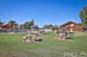 Photo - Cabin 13, 498 Sturt Highway (Sunraysia Holiday Park) , Mildura VIC 3500 - Image 16