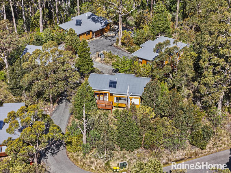 Photo - Cabin 34, 6955 Arthur Highway, Port Arthur TAS 7182 - Image 31