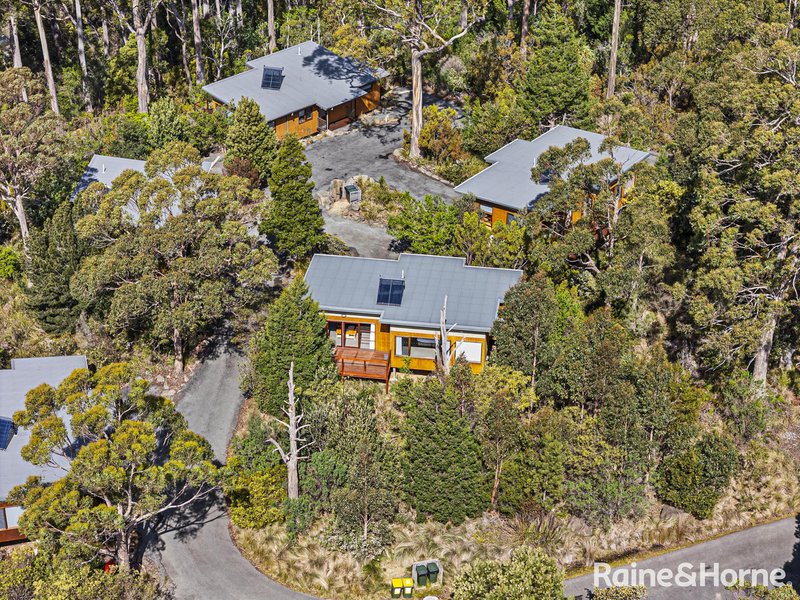 Photo - Cabin 34 Stewarts Bay Lodge , Port Arthur TAS 7182 - Image 32