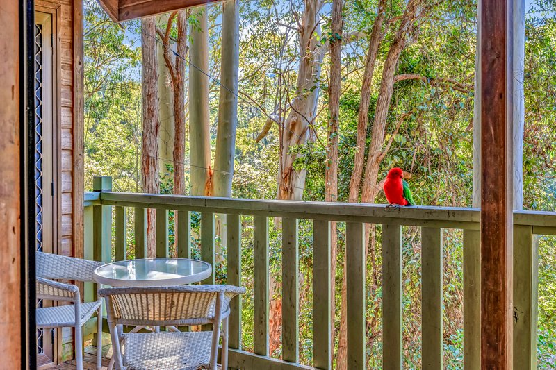 Cabin 7/2940 Salisbury Road, Salisbury NSW 2420