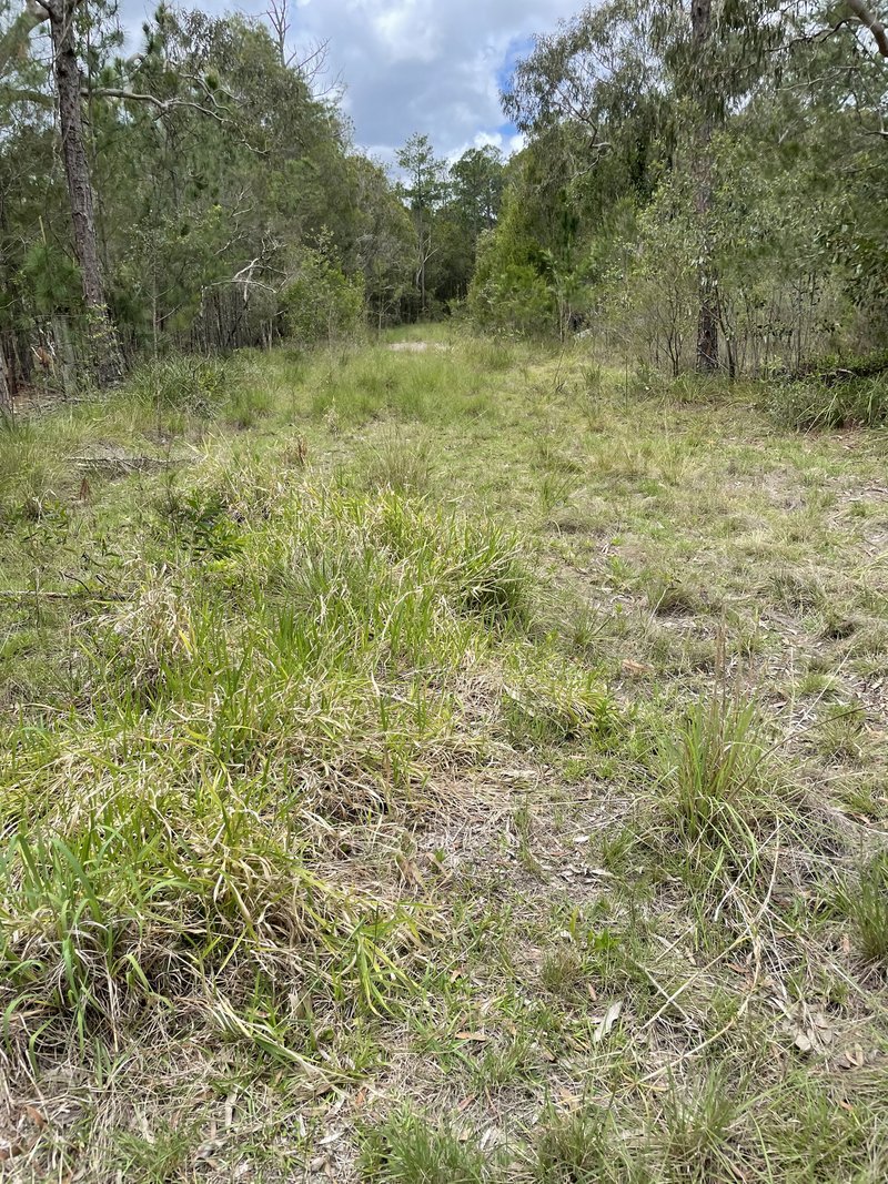 Photo - Caboolture QLD 4510 - Image 18