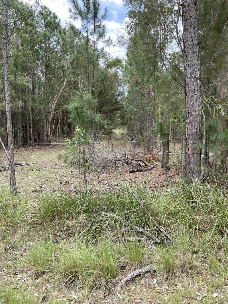 Photo - Caboolture QLD 4510 - Image 19