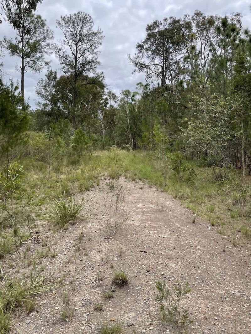 Photo - Caboolture QLD 4510 - Image 21