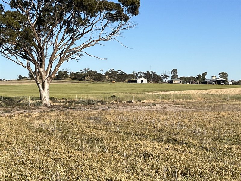 Photo - . Cadonia Park, Cunderdin WA 6407 - Image 2